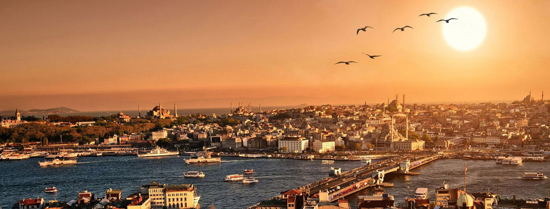 Vize İşlemleri